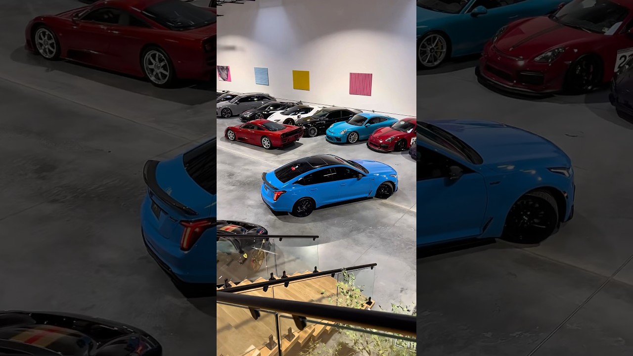 Electric Blue stands out in a crowd 😍 