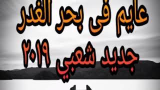 عايم في بحر الغدر شعبي جديد ٢٠١٩ هيكسر الدنيا