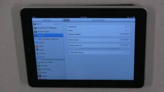 iPad Accessibility Features