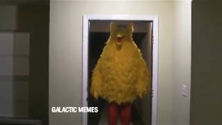 BIG BIRD Circulation DANK MEME