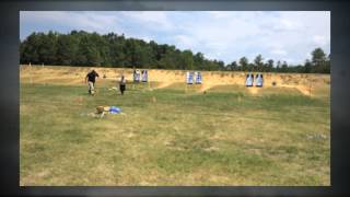 Trace Armory Group Defensive Pistol course