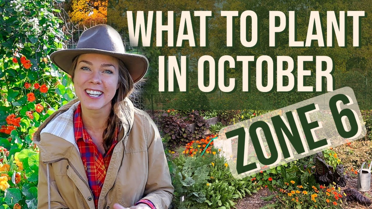What To Plant In October Zone 6 YouTube