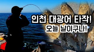 [광어다운샷]인천 광어 타작! 오늘 무슨날인가...