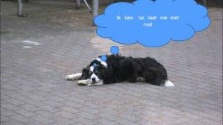 Stripverhaal Alexander Gil