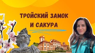 уголок "Тосканы" в Праге. Или где цветут сакуры?