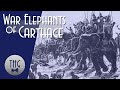 The War Elephants of Carthage