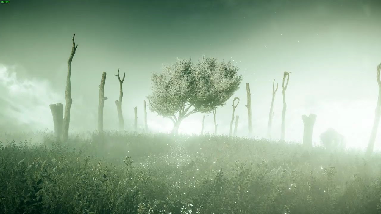 Far Cry 5 live video 1080p