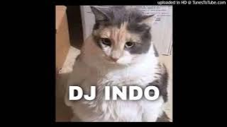 DJ Indo (ANSTRAP Remix)