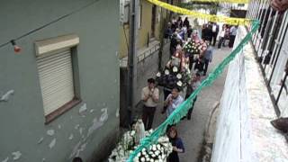 Festa de Canas, Semide, Coimbra.