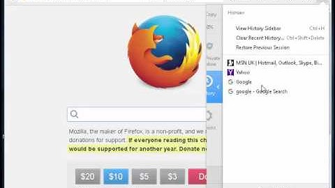 Firefox View and Delete History