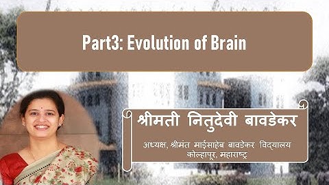 Session 2.1 How children learn? Part3. Evolution of Brain [MS Talk Series on ECE]