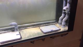 Electro hydrostatic actuator in aquarium under construction