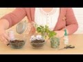 DIY - Cómo hacer un Terrario para Decorar tu Casa con un Tarro de Cristal