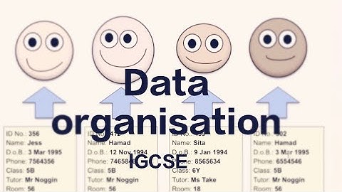 IGCSE ICT IGCSE ICT Data Organisation