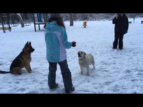 ბიძაშვილ მამიდაშვილები