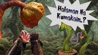 Meron Halaman Kumakain Ng Hayop At Insekto?? | Carnivorous Plants
