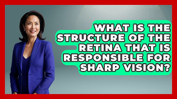 What Is the Structure of the Retina That Is Responsible for Sharp Vision? - Optometry Knowledge Base