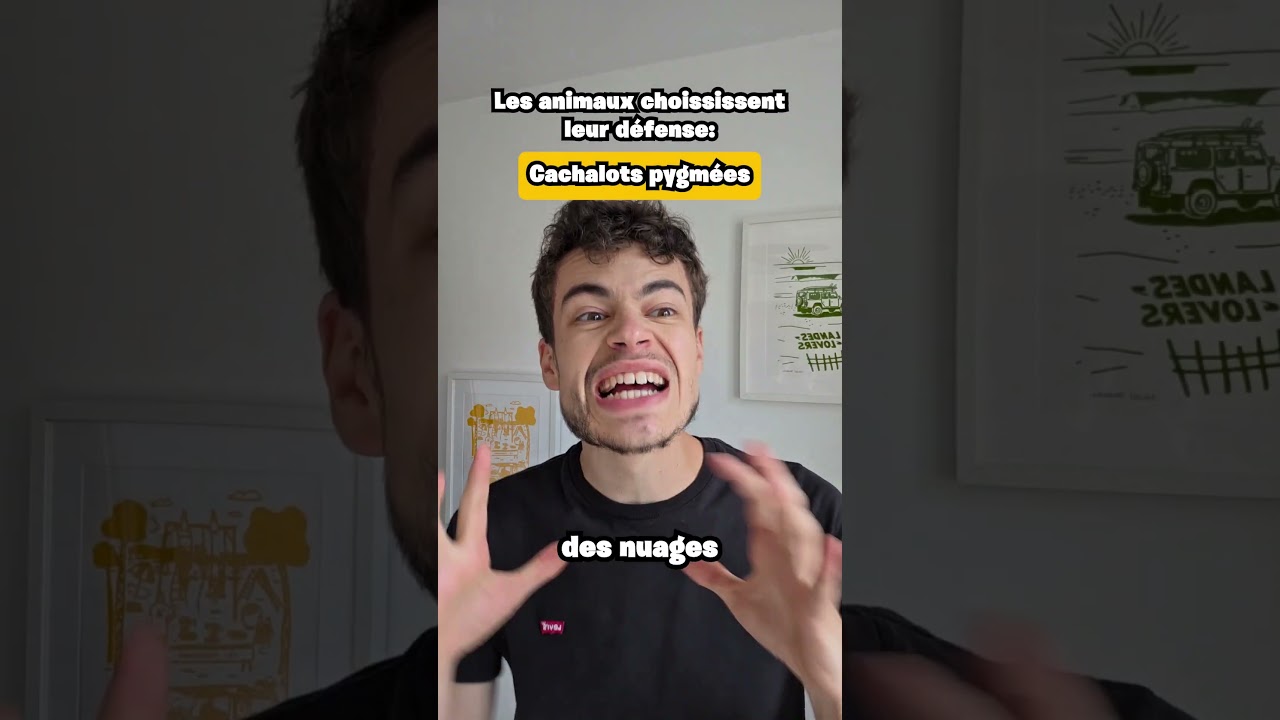 Les animaux choisissent leurs mécanisme de défense 😭