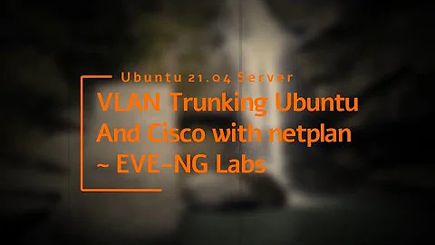 Ubuntu Server VLAN Trunking Configuration to Cisco Switch with netplan