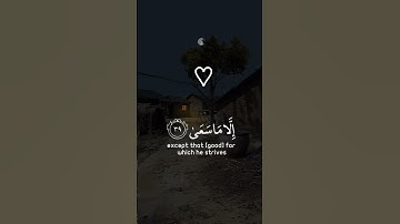 القران الكريم تلاوات خاشعة 🤍#explore #تلاوات #youtube #fypシ #instagram #القرآن_الكريم #quotes