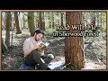 Read with me in sherwood forest  spring ambience with nature sounds