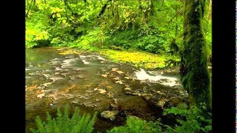 تلاوة من صلاة الفجر 17-7-1432ه _ ناصر القطامي