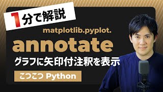 【こつこつPython】Pythonでグラフに矢印注釈を表示する方法｜matplotlib.pyplot.annotate