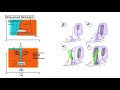 Entropic Balance Theory Of Tornadogenesis