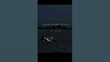 "وَقُلْ رَبِّ زِدْنِي عِلْمًا"(سورة طه - الآية 114)