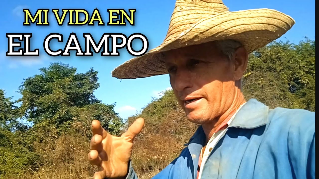 ‼️ASÍ no se PUEDE‼️La realidad del Campesino Cubano.