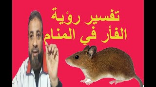 تفسير حلم رؤية الفأر في المنام / اسماعيل الجعبيري