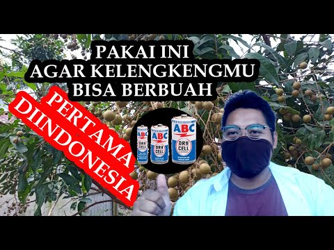 MAKE FERTILIZER FOR FRUITING THE FIRST LONG IN INDONESIA | HOW TO MAKE KCLO3 / POTASIUM CLORATE