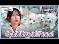 8,000kg of Food 🤩 [Dogs are incredible : EP.200-2] | KBS WORLD TV 240103