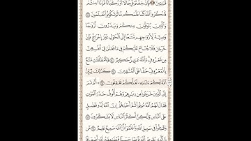 سورة البقرة من 238 الى 242 x10 بصوت سعد الغامدي