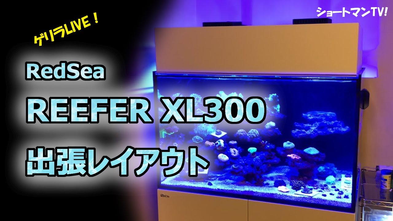 説明追加要確認リフジウム水槽　1200 リーファー　REEFER RedSea RedSea REEFER G2+ 170 MAX ブラックキャビネット - 海水魚専門