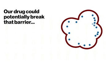 Learning from our clinical trials