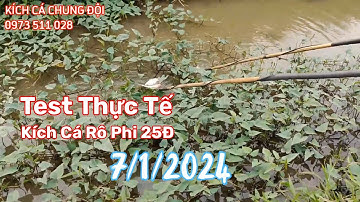 Test Thực Tế Máy Kích Cá Rô Phi 25Đ - Máy Kích Cá Chung Đội Hưng Yên