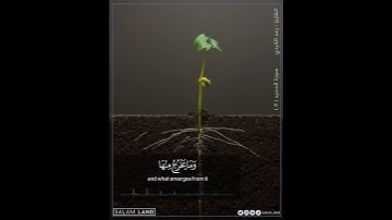 سورة الحديد (أية ٤)