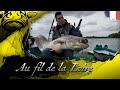 Au fil de la loire   black cat fishing