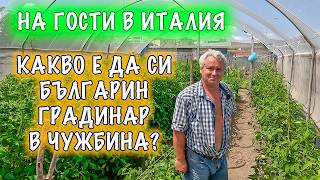 видео: Какво е да имаш градина в подножието на активен вулкан? На гости на един българин градинар в Италия. картинка: Какво е да имаш градина в подножието на активен вулкан? На гости на един българин градинар в Италия.