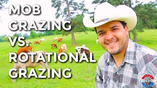 The Difference Between Rotational Grazing vs. Mob Grazing