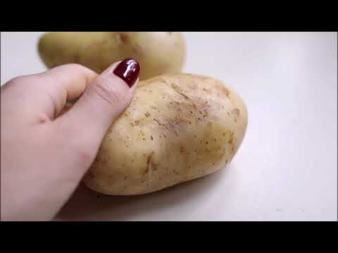 Как понять, что картофель созрел?