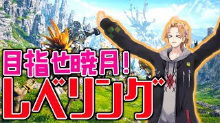 【FF14】暁月に向けてレベリングしていくぞー！【神田笑一/にじさんじ】