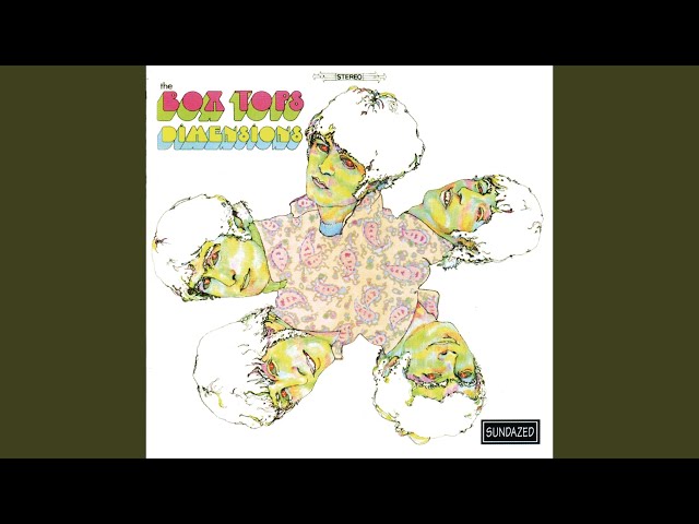 Box Tops - Lay Your Shine On Me