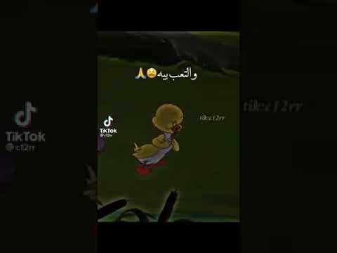 مطبوط موجوع قلبي حالات واتس اب 