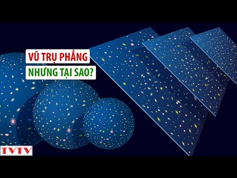 Video: Phim hoạt hình 