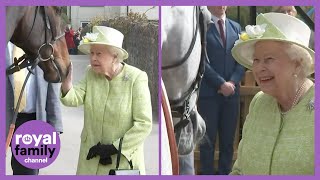 The Queen LOVES Horses But Do they Love Her ? ?