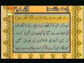 Urdu translation with tilawat quran 730