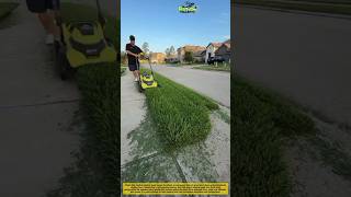 This Lawn Mower Turns an Overgrown Jungle Into a Perfect Lawn! 🌱