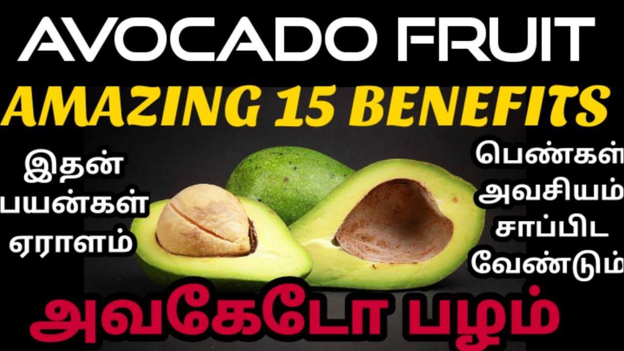 Avocado fruit benefits in tamil அவகேடோ நன்மைகள் அவகாடோ பழம் அவகோடா